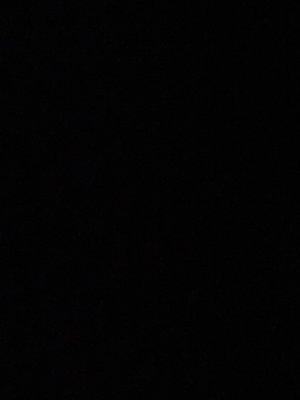 Photo of Kaley S.