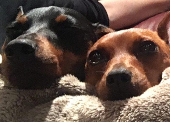 photo of Ruthanne G.