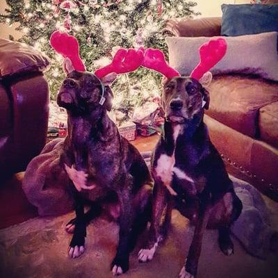 photo of Christopher H.