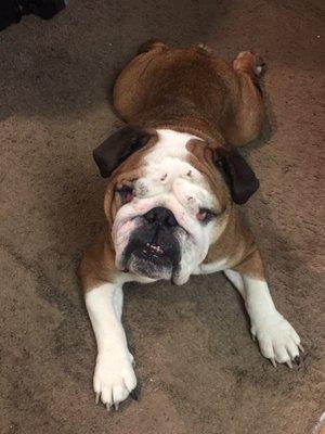 photo of Elizabeth R.