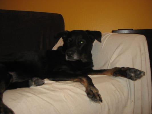 photo of Mischief G.