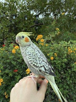 photo of Nathalia C.