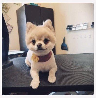 photo of Brettine M.