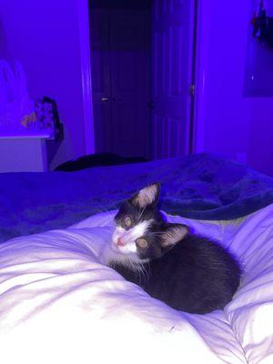 photo of Nathalie W.