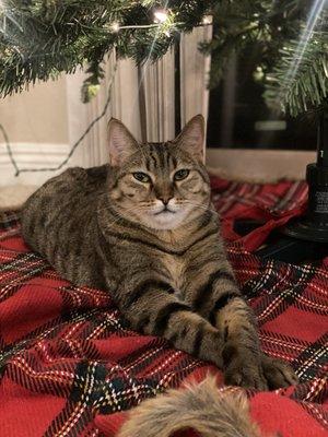 photo of Chelstine C.