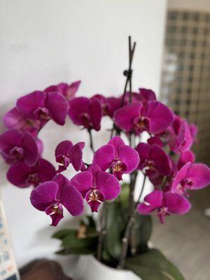 photo of Fernando L.