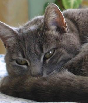 Photo of Cass M.