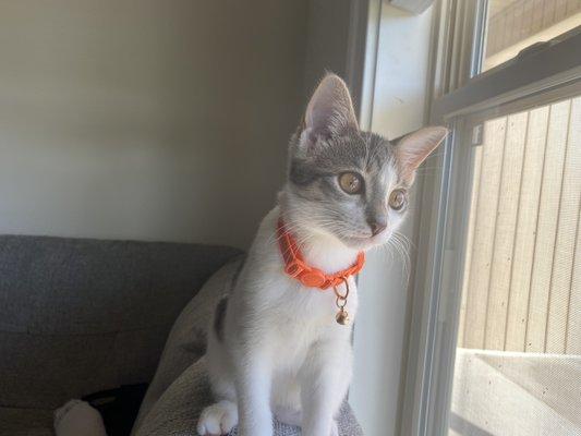 photo of TheReview G.