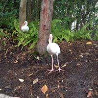 photo of Jennifer A.