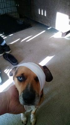 photo of Nicholas B.