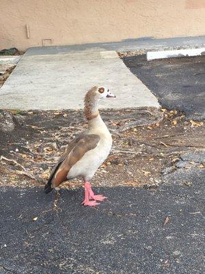 photo of Alejandro A.