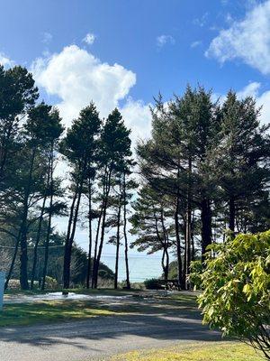 photo of Kristina S.