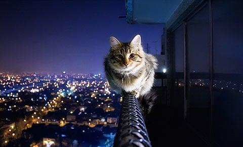 photo of Stephanie F.