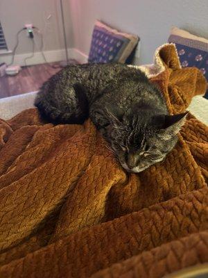 photo of Katherine K.