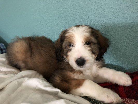 photo of ViviAnne F.