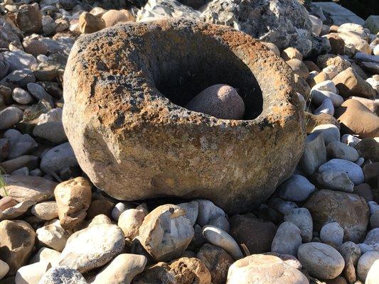 Photo of Echo Peace C.