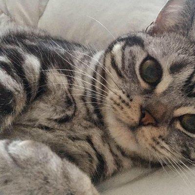 photo of Jacqueline H.