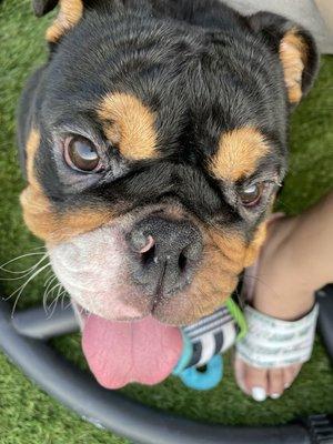 photo of Zavienna Z.