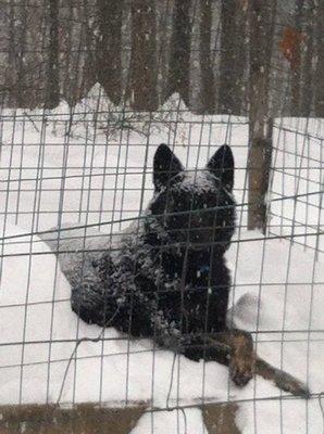 photo of Christopher L.