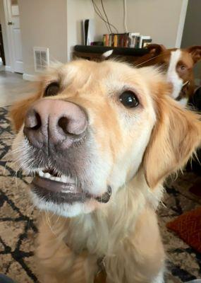 photo of Savannah B.