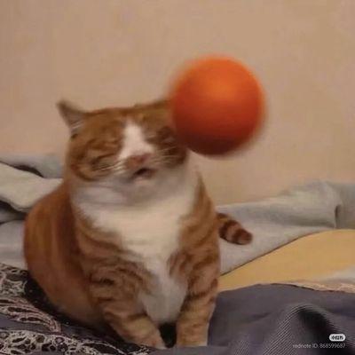 photo of Sincerely Z.