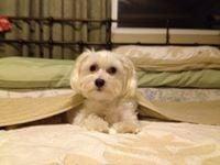 photo of Glorietta M.