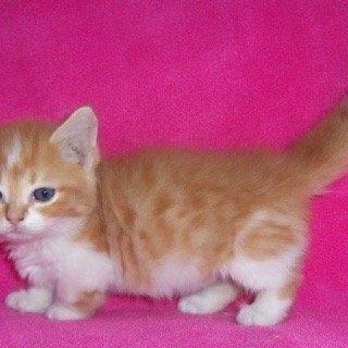 photo of Christopher C.