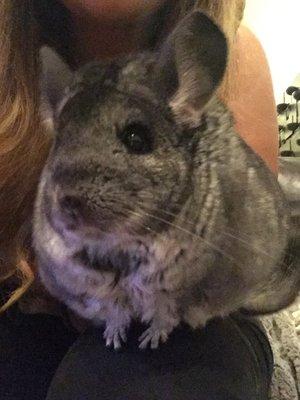 photo of Jennifer C.