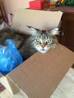 photo of Susan Jane T.