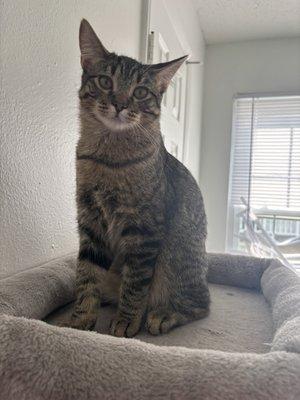 Photo of Nyla W.