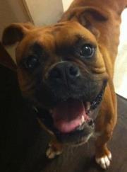 Photo of Tripp G.