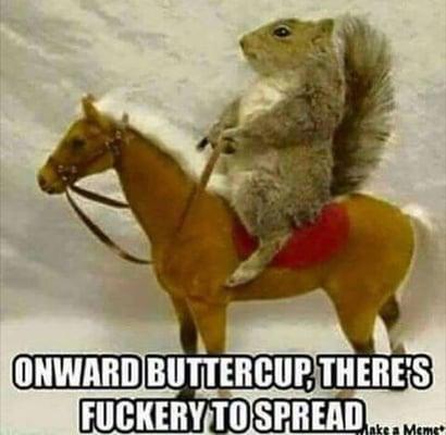 photo of Carolynne H.