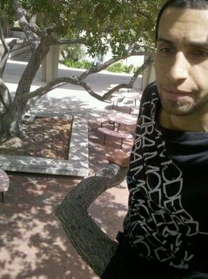 Photo of Ramy S.