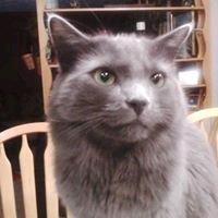 photo of Christine C.