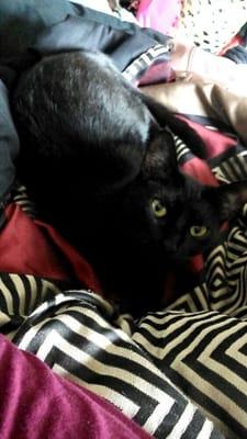 Photo of Cassandra D.