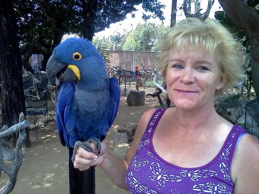 Photo of Saundra H.