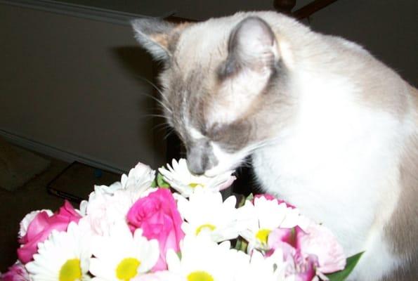 photo of Kat K.