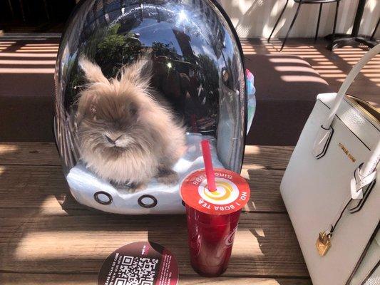 photo of Fight For Justice A.