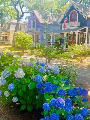 Photo of Caroline B.