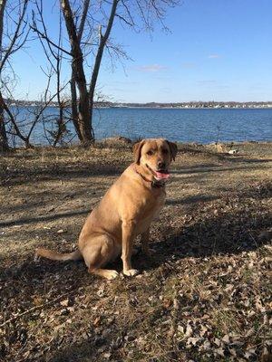 photo of Tiffanie S.