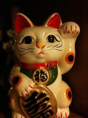 photo of Marcella C.