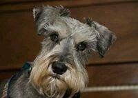 photo of Patricia W.