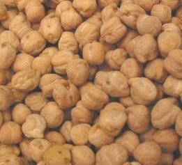 Photo of garbanzo b.