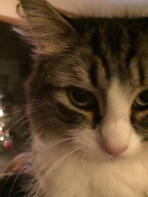 photo of Michelle M.