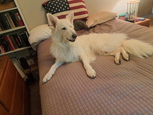 photo of Alexander H.