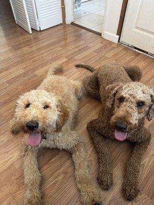 photo of Jessika Joy C.