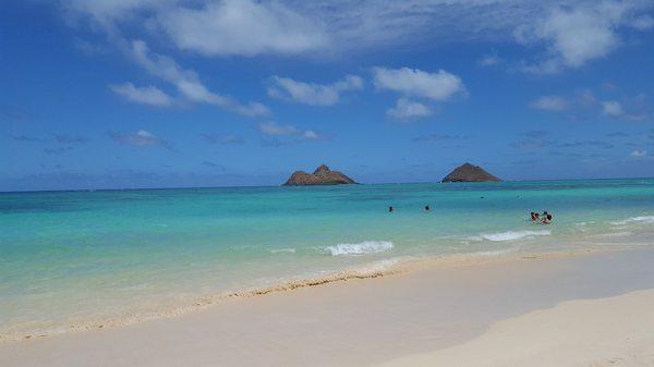 Photo of Keren Or M.