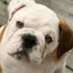 photo of Jennifer S.