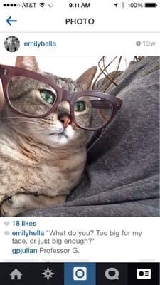 Photo of Hella S.