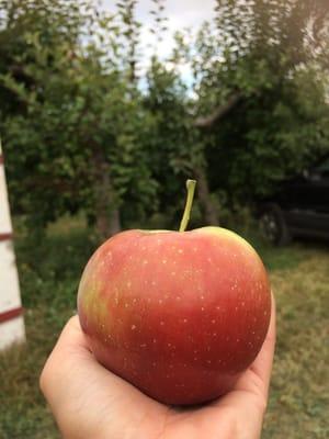 Photo of Angelica S.